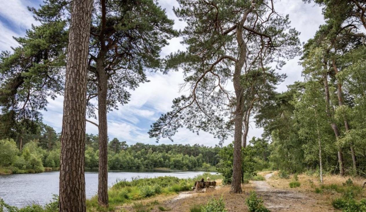 29, Natuurlijk Gelegen Nabij Efteling En Beekse Bergen, Airco & Prive Parkeren Inbegrepen! Oisterwijk Eksteriør billede