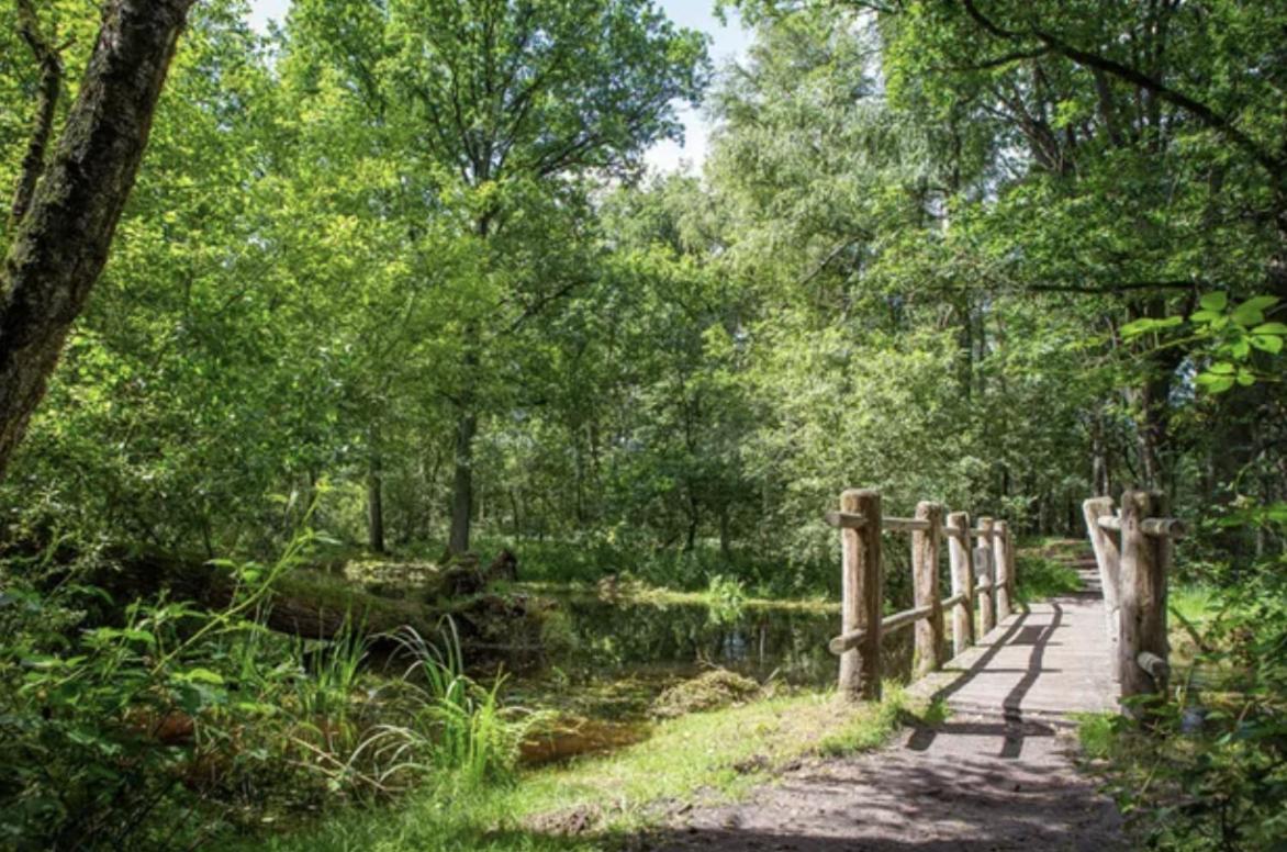 29, Natuurlijk Gelegen Nabij Efteling En Beekse Bergen, Airco & Prive Parkeren Inbegrepen! Oisterwijk Eksteriør billede